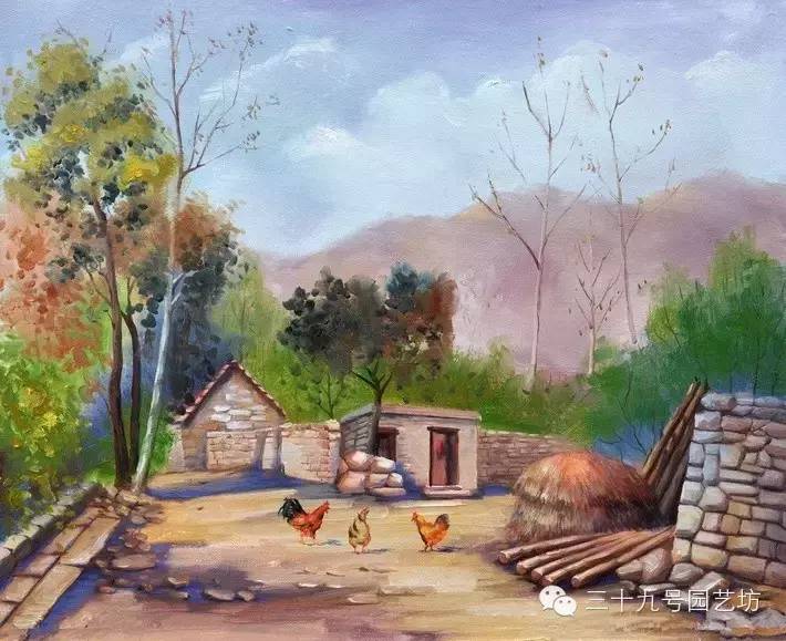 老家的庭院，生活•风水•诗意