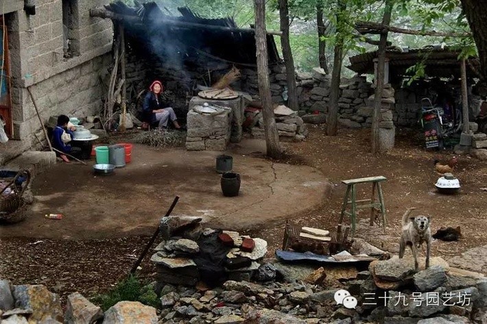 老家的庭院，生活•风水•诗意