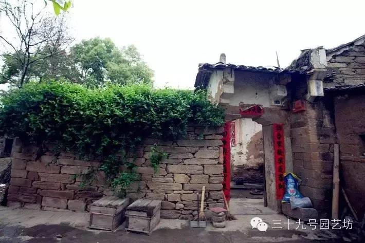 老家的庭院，生活•风水•诗意