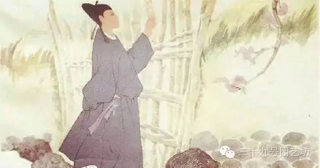 老家的庭院，生活•风水•诗意