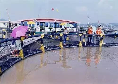 旅游+农业 · 休闲农业十大创意模式