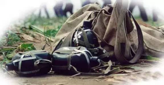 旅游+农业 · 休闲农业十大创意模式