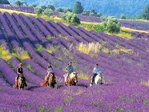 国内外休闲农业规划与开发经典案例