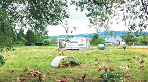 国内外休闲农业规划与开发经典案例