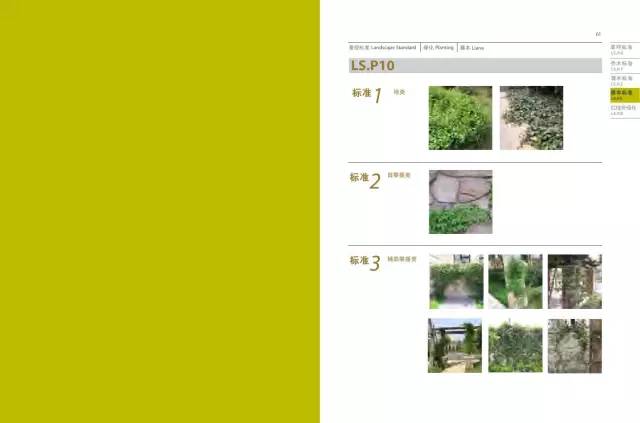 万科地产景观流程实用秘籍