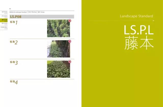 万科地产景观流程实用秘籍