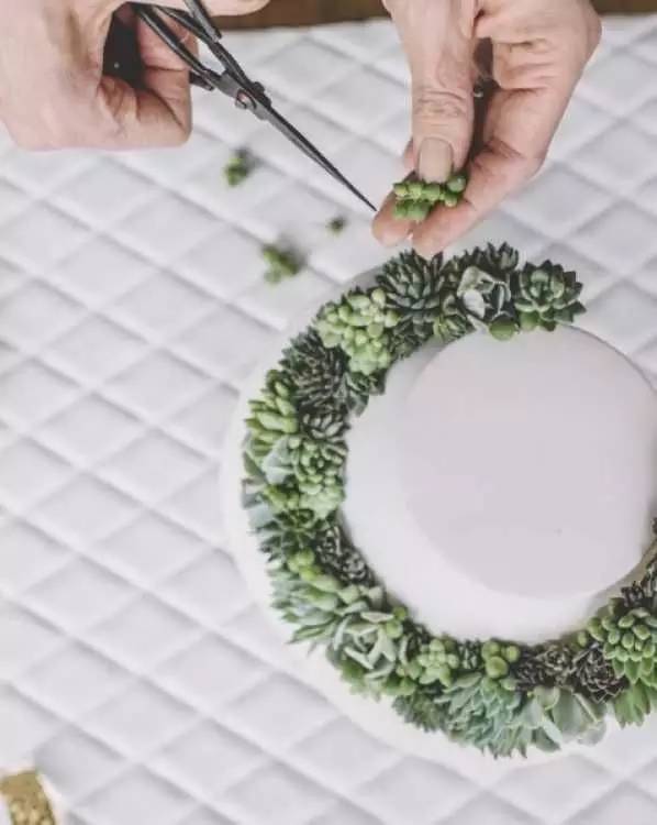 把多肉植物做成首饰，竟然比钻石还美丽