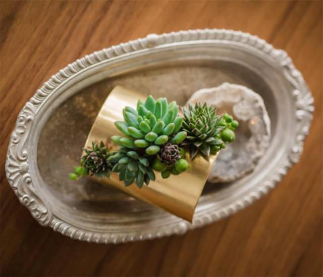 把多肉植物做成首饰，竟然比钻石还美丽
