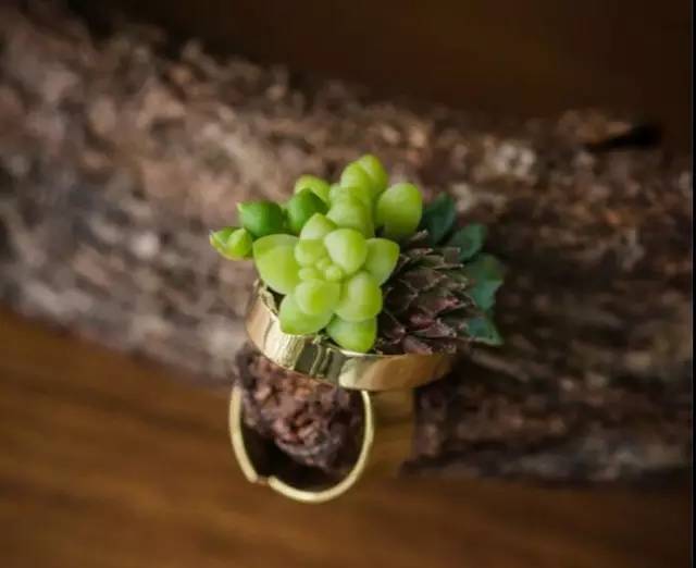 把多肉植物做成首饰，竟然比钻石还美丽