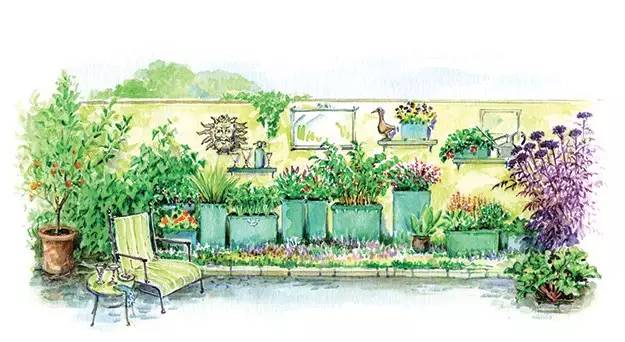 蔬菜花园 · 引领花园设计新风尚