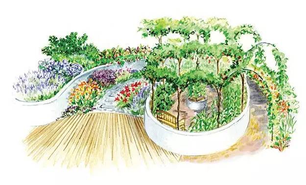 蔬菜花园 · 引领花园设计新风尚