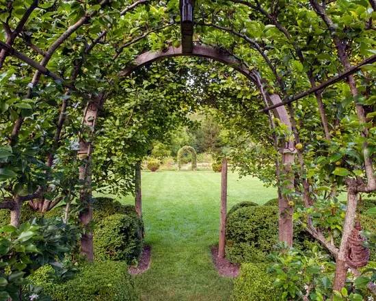 蔬菜花园 · 引领花园设计新风尚