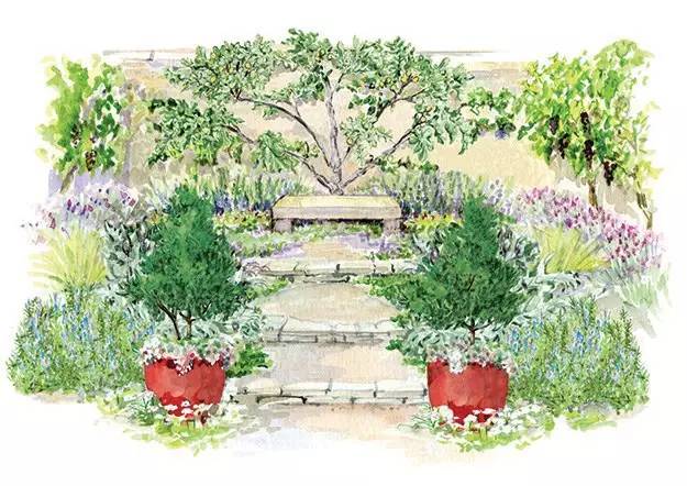 蔬菜花园 · 引领花园设计新风尚