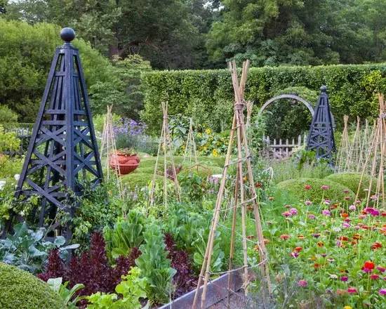 蔬菜花园 · 引领花园设计新风尚