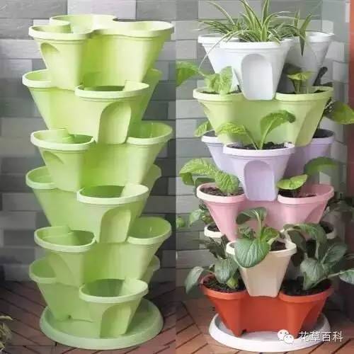 阳台种植自家有机菜，你家也能拥有！