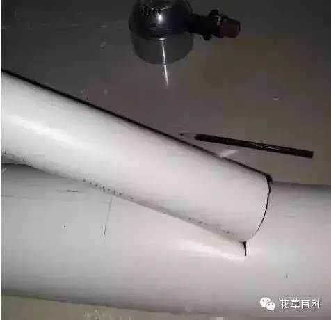 阳台种植自家有机菜，你家也能拥有！