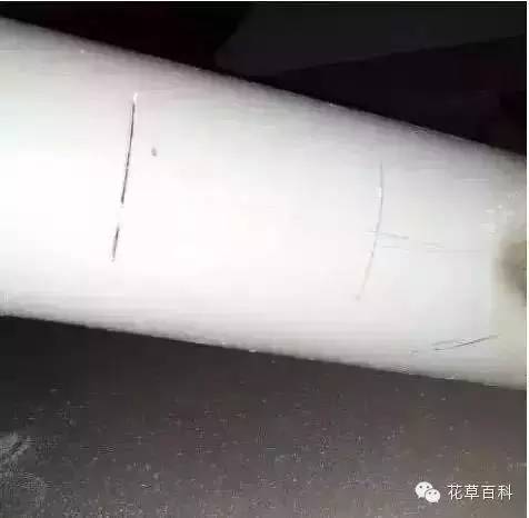 阳台种植自家有机菜，你家也能拥有！