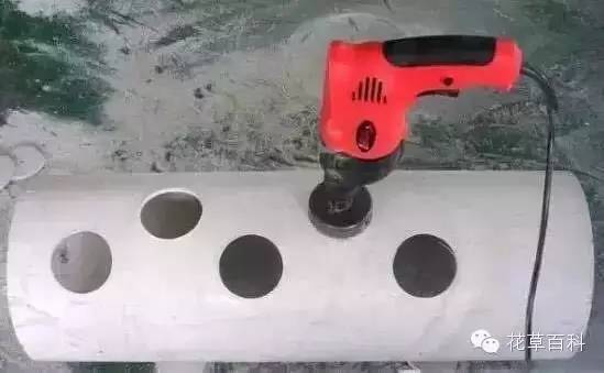 阳台种植自家有机菜，你家也能拥有！