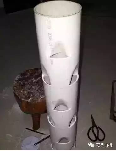 阳台种植自家有机菜，你家也能拥有！