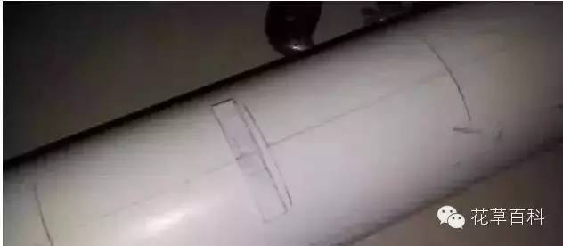 阳台种植自家有机菜，你家也能拥有！