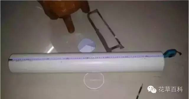 阳台种植自家有机菜，你家也能拥有！