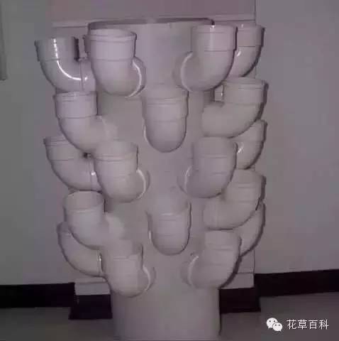 阳台种植自家有机菜，你家也能拥有！