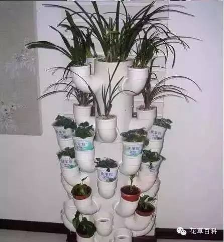 阳台种植自家有机菜，你家也能拥有！