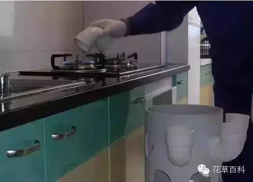 阳台种植自家有机菜，你家也能拥有！