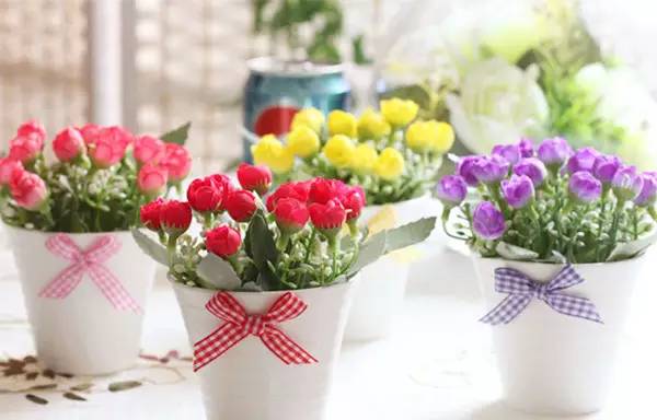 居家盆栽花卉修剪方法