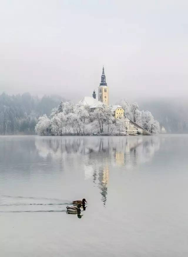 有一种景观，叫做别人家的农村