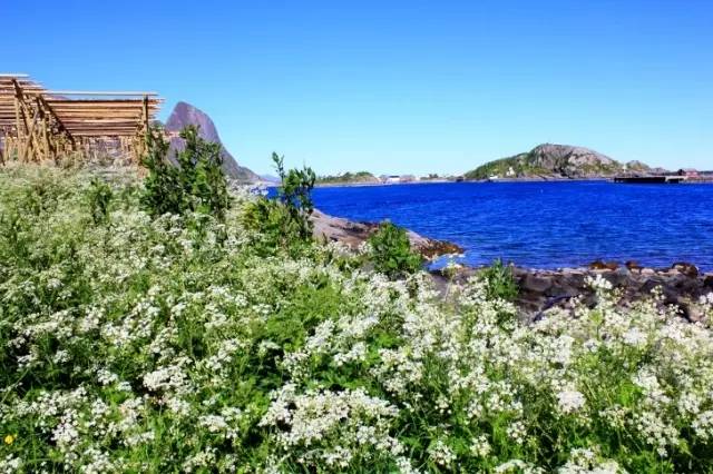 有一种景观，叫做别人家的农村