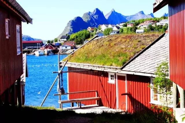 有一种景观，叫做别人家的农村