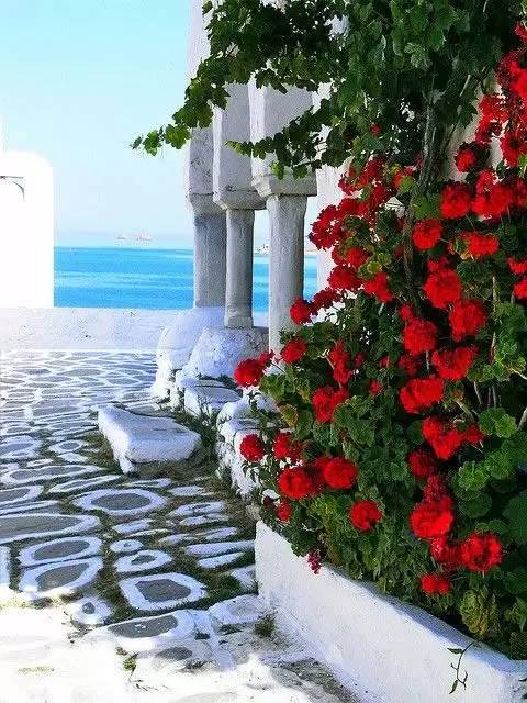 有一种景观，叫做别人家的农村