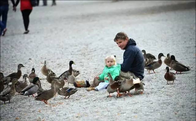 有一种景观，叫做别人家的农村