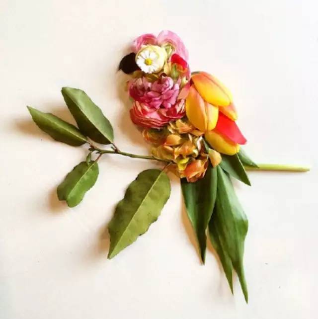 这才是玩植物的最高境界，太美了！