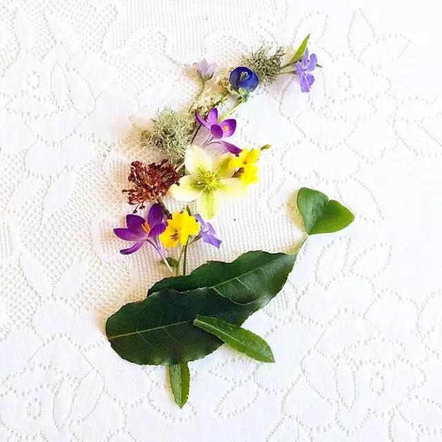 这才是玩植物的最高境界，太美了！