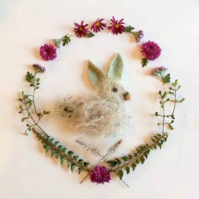 这才是玩植物的最高境界，太美了！