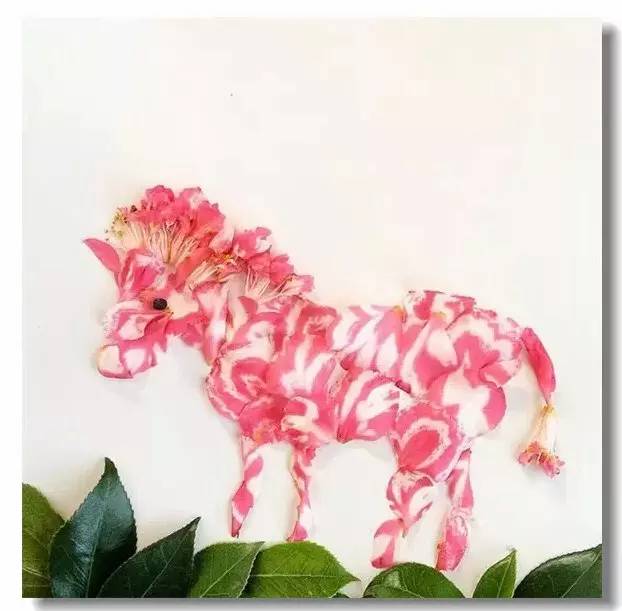 这才是玩植物的最高境界，太美了！