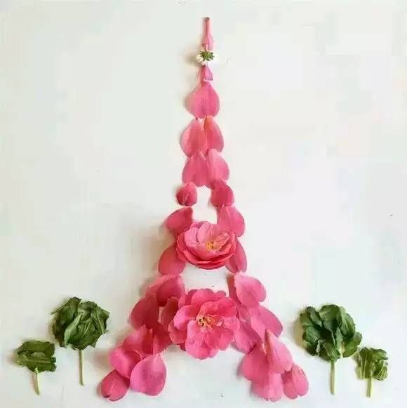 这才是玩植物的最高境界，太美了！