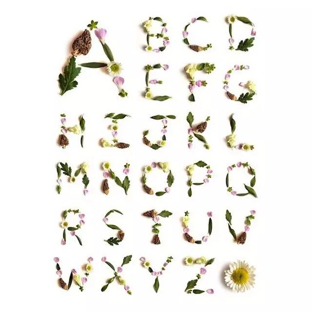 这才是玩植物的最高境界，太美了！