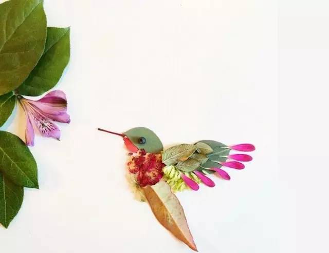 这才是玩植物的最高境界，太美了！