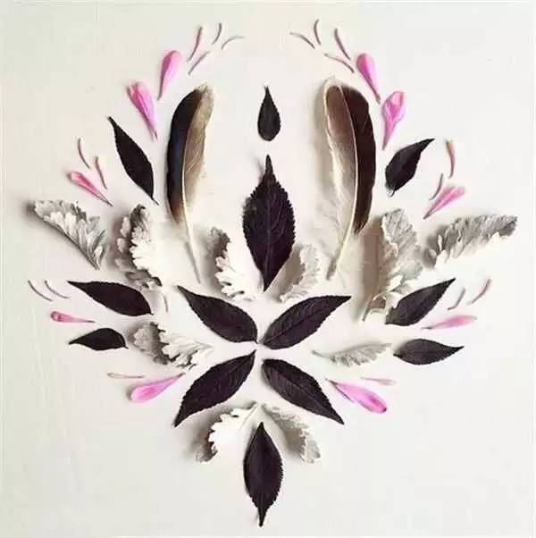 这才是玩植物的最高境界，太美了！