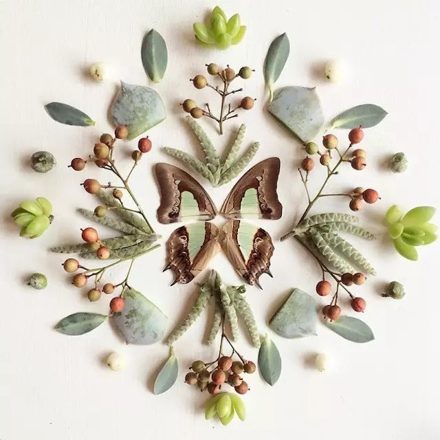 这才是玩植物的最高境界，太美了！