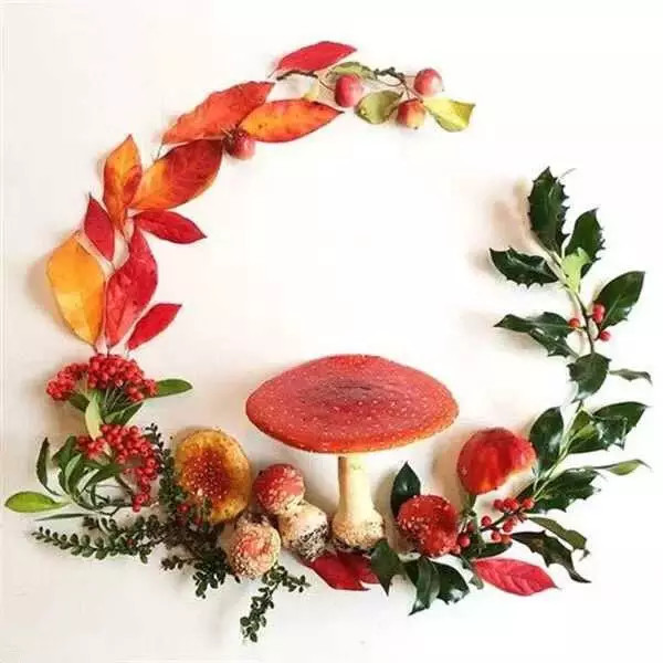 这才是玩植物的最高境界，太美了！