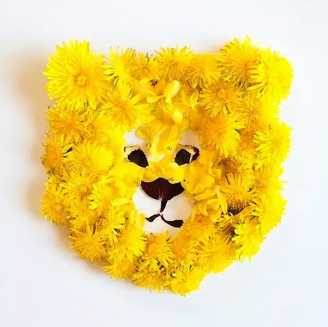 这才是玩植物的最高境界，太美了！