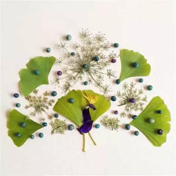 这才是玩植物的最高境界，太美了！