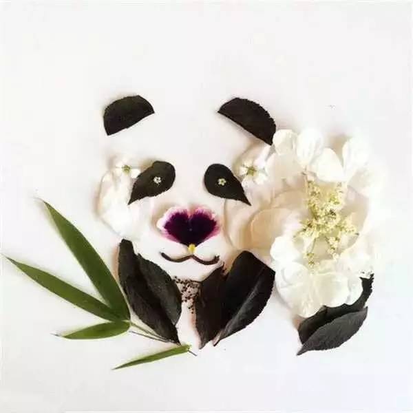 这才是玩植物的最高境界，太美了！