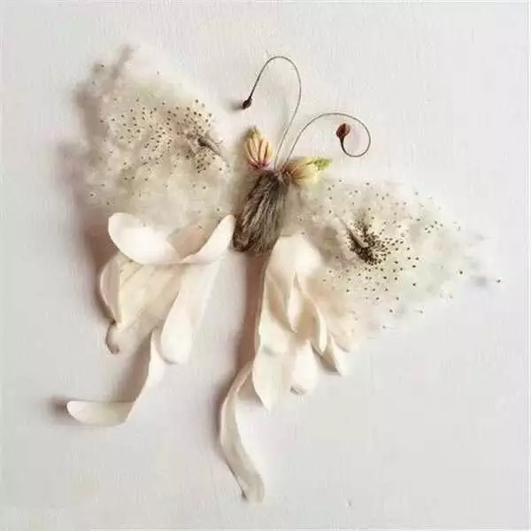 这才是玩植物的最高境界，太美了！