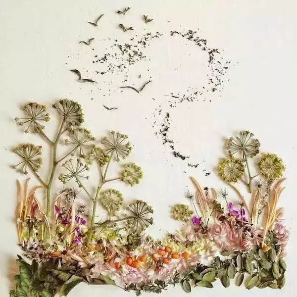 这才是玩植物的最高境界，太美了！