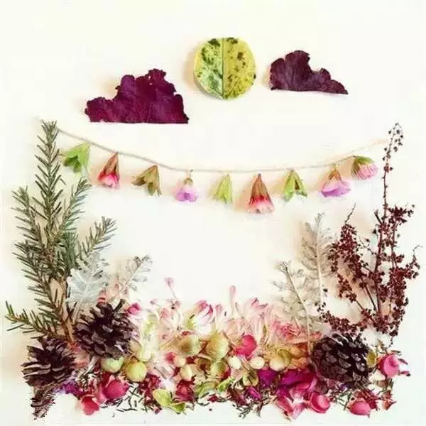 这才是玩植物的最高境界，太美了！